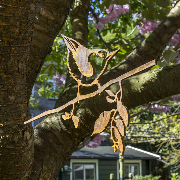 Kleiber, Sitta europaea von Metalbird