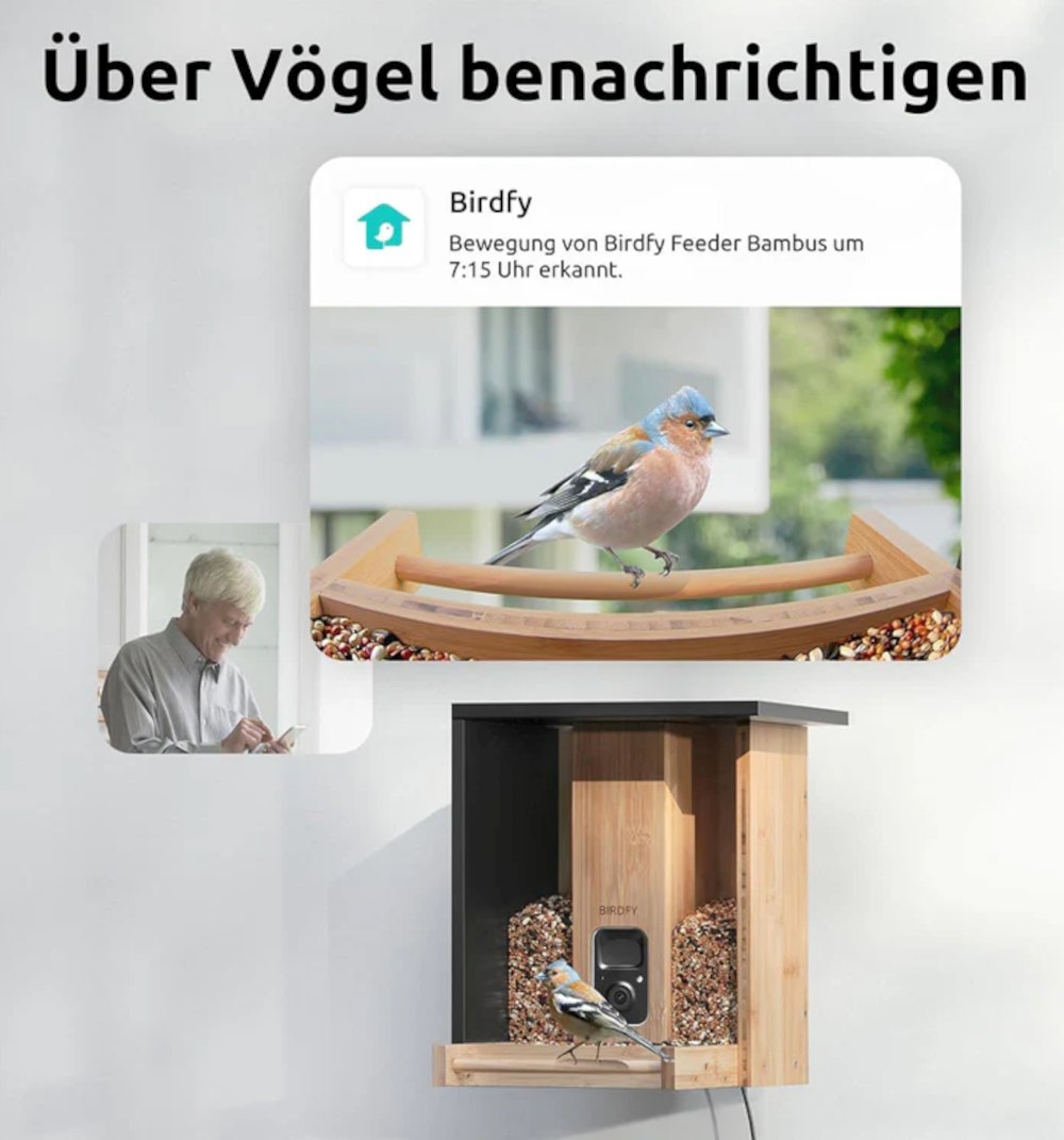 Bamboo, Futterhaus mit Kamera, 3,5 l Bestimmungs KI: 7-Tage-Testversion