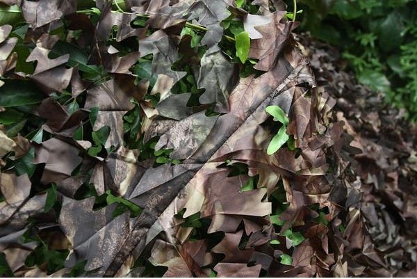 Tragopan Tarnnetz Schnee, Unterseite Camo-Unterbodenmuster