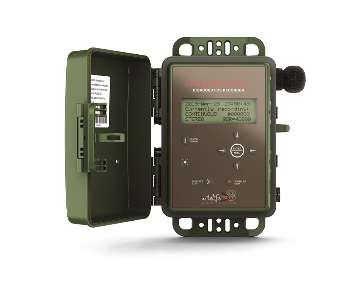 Wildlife Acoustics, SONG METER SM4TS, für Langzeiterfassung, geöffnet
