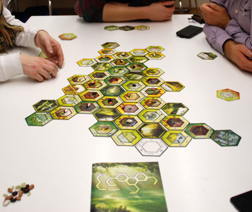 Gaiagames, Ecogon Spiel in Anwendung