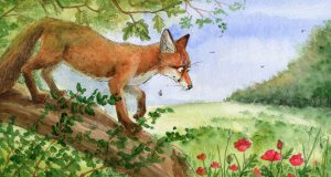 Gaiagames, Postkartenspiel Vulpi, Fuchs