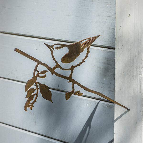 Kleiber Sitta europaea, Metalbird