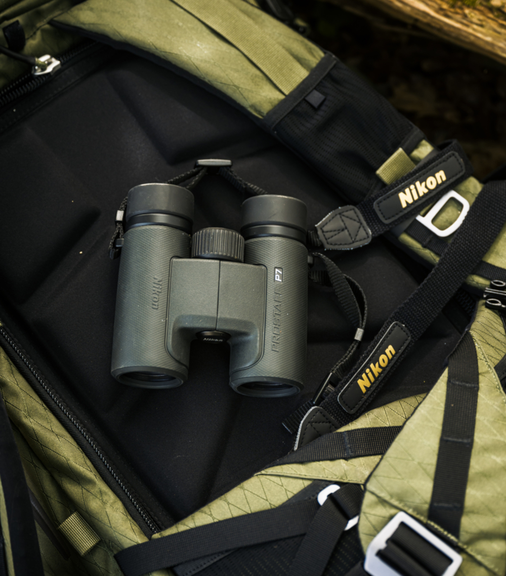 Prostaff P7, NIKON, Fernglas,